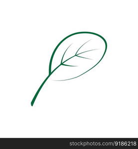 moringa leaf nature icon vector illustration template design