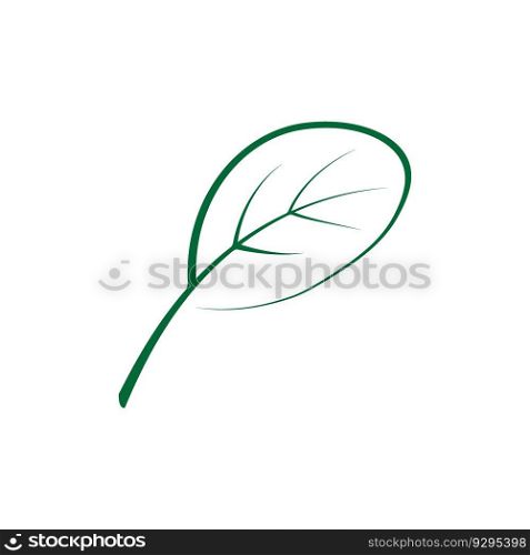 moringa leaf tradicional medicine icon vector illustration template design