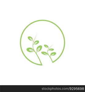 moringa leaves icon vector illustration template design