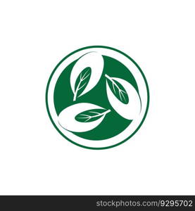 moringa leaves icon vector illustration template design