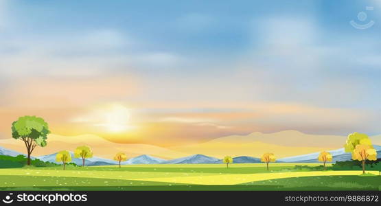 Morning sky in spring time,Summer landscape in village with meadow on hills with orang and blue sky, Panoramic countryside of green field, mountain and grass flowers,Vector cartoon of Summer or Spring