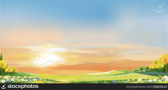 Morning sky with orange and blue sky with clouds, Natural Spring landscape in countryside with green meadow on hills,Vector cartoon Summer landscape,Panoramic village with grass field and wildflower