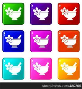 Mortar and pestle pharmacy icons of 9 color set isolated vector illustration. Mortar and pestle pharmacy set 9