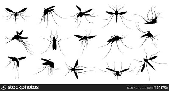 Mosquito silhouette. Flying mosquitoes, swarm insects spreading diseases, dangerous infection and viruses, malaria and dengue. Vector gnats black silhouette, mosquito insect bloodsucking illustration. Mosquito silhouette. Flying mosquitoes, swarm insects spreading diseases, dangerous infection and viruses, malaria and dengue. Vector gnats