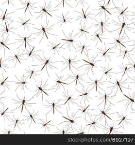 Mosquitoes Seamless Pattern. Vector illustration of mosquito. Seamless pattern of gnat isolated on white background, in flat style.