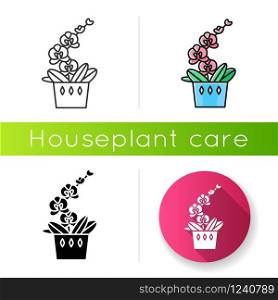 Moth orchid icon. Orchidaceae. Phalaenopsis Blume. Elegant indoor plant with pink flowers. Decorative blooming houseplant. Linear black and RGB color styles. Isolated vector illustrations