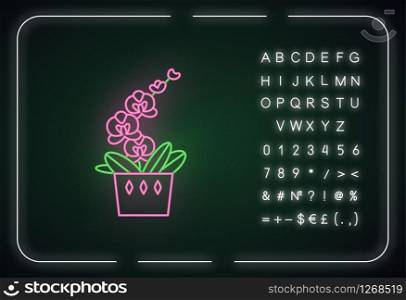 Moth orchid neon light icon. Orchidaceae. Phalaenopsis Blume. Plant with flowers. Houseplant. Outer glowing effect. Sign with alphabet, numbers and symbols. Vector isolated RGB color illustration