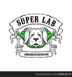 Motorcycle or biker gang style illustration of a super yellow labrador retriever dog wearing a green cape front view with ribbon or scroll with text Super Lab on isolated background in retro style.. Super Labrador Retriever Dog Wearing Green Cape 