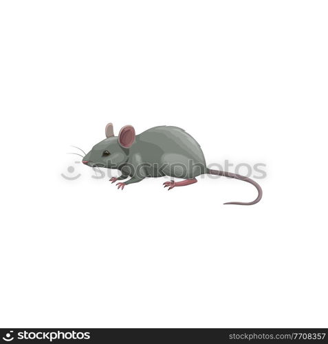 Mouse icon, pest control, rodents extermination and deratization service, isolated vector. Mouse rodent and vermin animal, domestic and agriculture sanitary disinfestation, pest control service symbol. Mouse icon, pest control, rodents extermination