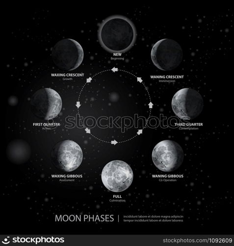 Movements of the Moon Phases Realistic Vector Illustration