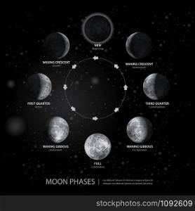 Movements of the Moon Phases Realistic Vector Illustration