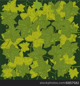 Much green foliages. Year background from ensemble of the green foliage