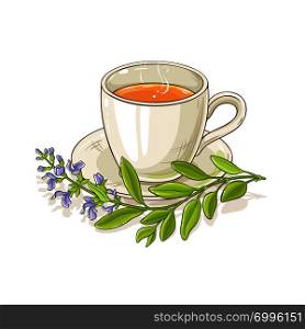 mug sage tea illustration on white background. sage tea illustration