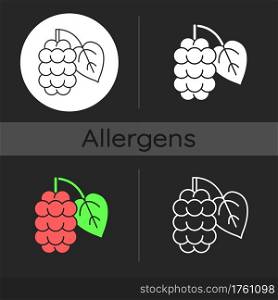 Mulberry dark theme icon. Morus fruit, blackberry on branch. Fresh nutrient food ingredient. Allergy for plant. Linear white, simple glyph and RGB color styles. Isolated vector illustrations. Mulberry dark theme icon