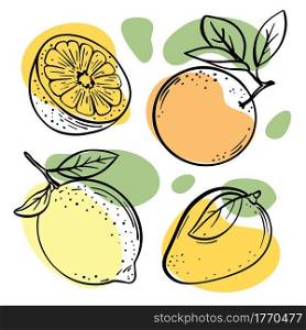 MULTI-FRUIT Delicious Fruits Sketch Vector Illustration Set