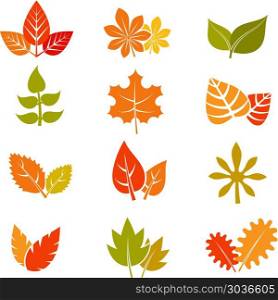 Multicolor autumn leaves flat vector icons. Fall feuille leaf collection. Multicolor autumn leaves flat vector icons. Fall feuille leaf collection. Set of autumn leaves, illustration maple leaf