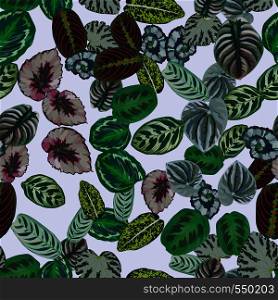 Multicolor exotic leaves pattern seamless light gray background. Trendy composition botanical nature beach wallpaper