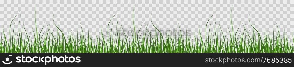 Multicolor green grass. Seamless pattern from left to right. Horizontal on transparent background. Vector Illustration. Multicolor green grass. Seamless pattern from left to right. Horizontal on transparent background. Vector Illustration. EPS10