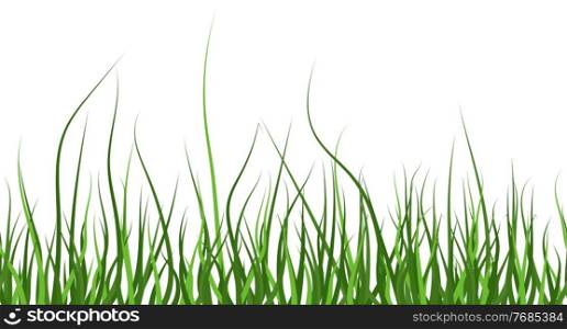 Multicolor green grass. Seamless pattern from left to right. Horizontal on white background. Vector Illustration. Multicolor green grass. Seamless pattern from left to right. Horizontal on white background. Vector Illustration. EPS10