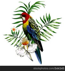 Multicolor single parrot with tropical plants and flowers. Tropical print