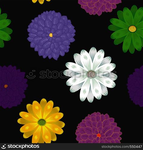 Multicolor spring meadow flowers chamomile vector flat style seamless pattern on the black background