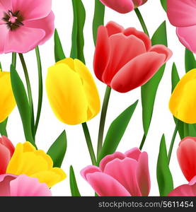 Multicolored beautiful blossoming blooming tulip flower seamless pattern vector illustration.