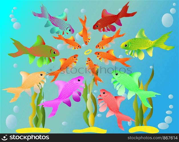 Multicolored fishes have seen a ring Falling to the bottom. Multicolored fishes have seen a ring