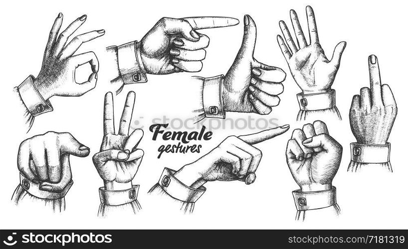 Multiple Female Caucasian Hand Gesture Set Vector. Collection Of Different Arm Gesture. Ok And Peace, Palm And Fist, Show Direction And Showing Signal. Hand Drawn In Retro Style Illustrations. Multiple Female Caucasian Hand Gesture Set Vector