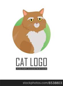 Munchkin cat Vector Flat Design Illustration. Munchkin cat breed. Cute red short-legged cat with raised tail flat vector illustration isolated on white background. Domestic friend and companion animal. For pet shop ad, hobby concept, breeding