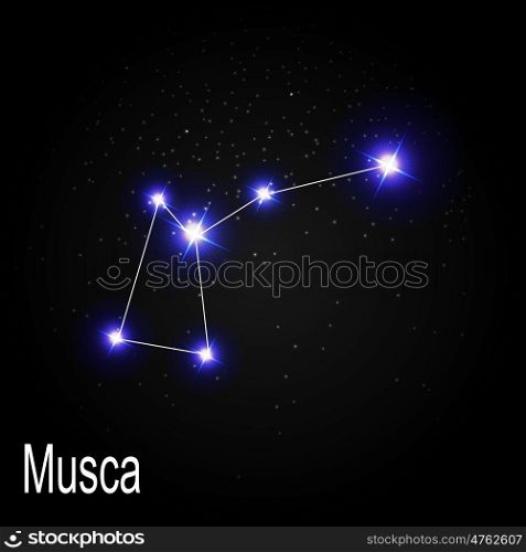 Musca Constellation with Beautiful Bright Stars on the Background of Cosmic Sky Vector Illustration EPS10. Musca Constellation with Beautiful Bright Stars on the Backgroun