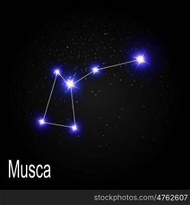 Musca Constellation with Beautiful Bright Stars on the Background of Cosmic Sky Vector Illustration EPS10. Musca Constellation with Beautiful Bright Stars on the Backgroun