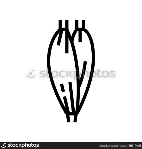muscle human anatomy line icon vector. muscle human anatomy sign. isolated contour symbol black illustration. muscle human anatomy line icon vector illustration