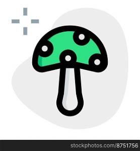 Mushroom, a fleshy and poisonous macrofungi.