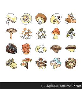 mushroom food forest fungi icons set vector. fungus ch&ignon, nature fresh, plant autumn porcini, organic psychedelic vegetable mushroom food forest fungi color line illustrations. mushroom food forest fungi icons set vector