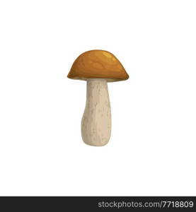 Mushroom icon, autumn and fall harvest, forest food, vector isolated icon. Orange or brown cap boletus mushroom, Thanksgiving holiday autumn harvest. Mushroom icon, autumn fall harvest, forest boletus