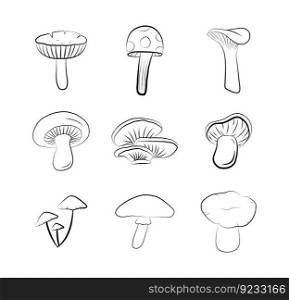 Mushroom icon set isolated vector graphic outline doodle drawing. Forest autumn season vegetable food sketch print.