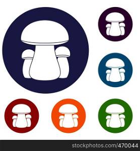 Mushroom icons set in flat circle reb, blue and green color for web. Mushroom icons set