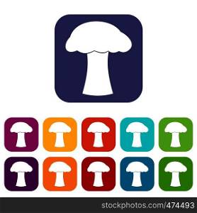 Mushroom icons set vector illustration in flat style In colors red, blue, green and other. Mushroom icons set