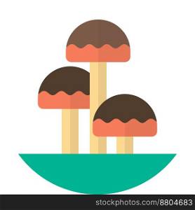 mushroom illustration in minimal style isolated on background