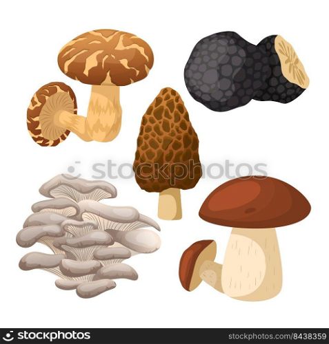 mushroom retro set cartoon vector. groovy magic forest food, hippie fungus, autumn mushroom retro. isolated color illustration. mushroom retro set cartoon vector