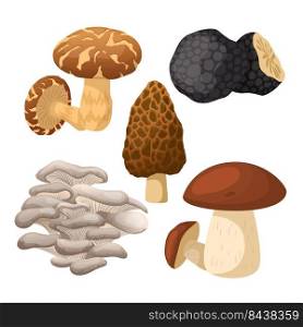 mushroom retro set cartoon vector. groovy magic forest food, hippie fungus, autumn mushroom retro. isolated color illustration. mushroom retro set cartoon vector