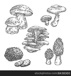mushroom retro set hand drawn vector. groovy magic forest food, hippie fungus, autumn mushroom retro sketch. isolated black illustration. mushroom retro set sketch hand drawn vector