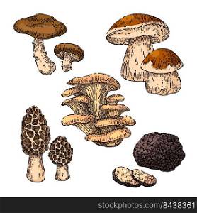 mushroom retro set hand drawn vector. groovy magic forest food, hippie fungus, autumn mushroom retro sketch. isolated color illustration. mushroom retro set sketch hand drawn vector