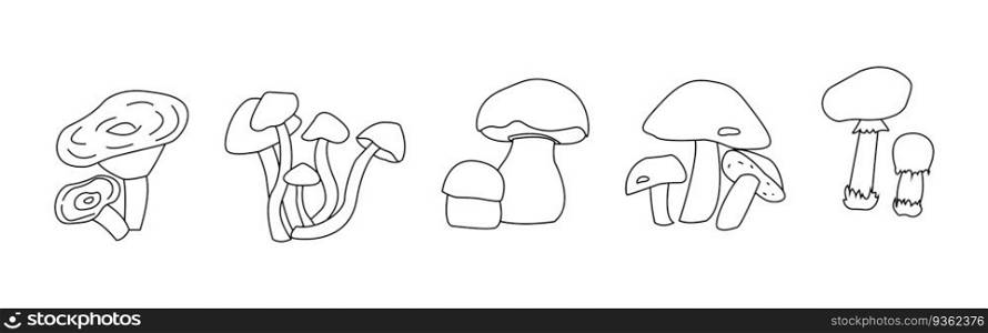 Mushroom Set Line Art Logo. Vector illustration. Mushroom Set Line Art Logo