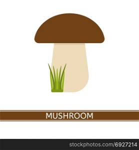 Mushroom Vector Isolated. Vector illustration of edible mushroom isolated on white background. Raw porcini in flat style.