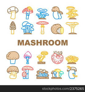 Mushroom Vegetable And Fungus Icons Set Vector. Shitake And Porcini, Morel And Toadstool, Fungi And Amanita Mushroom. Delicious Natural And Vitamin Ch&ignon And Truffle Color Illustrations. Mushroom Vegetable And Fungus Icons Set Vector