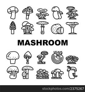 Mushroom Vegetable And Fungus Icons Set Vector. Shitake And Porcini, Morel And Toadstool, Fungi And Amanita Mushroom. Delicious Natural And Vitamin Ch&ignon And Truffle Black Contour Illustrations. Mushroom Vegetable And Fungus Icons Set Vector