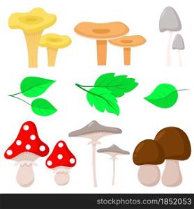Mushrooms and leaves set vector illustration. Autumn forest natural gifts. Organic food mushrooms. Bright colorful leaves fall.. Mushrooms and leaves set vector illustration.
