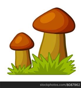 Mushrooms. Autumn element of forest and nature. Natural food. Large and small cep. Green grass. Detail for background of child drawing. Cartoon illustration. Mushrooms. Autumn element of forest