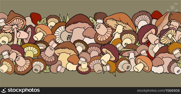 Mushrooms color nature cartoon vector hand drawn border. Mushrooms nature cartoon vector hand drawn border